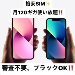 格安SIM✨️月120ギガ、かけ放題‼️審査不要、ブラックOK‼️