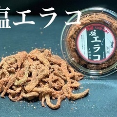 塩エラコ 100g 北海道産 [釣り餌]