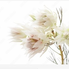 季節のフラワーアレンジメント🌼敬老の日のギフトにも✨💐