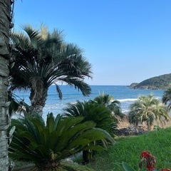サーフィン友達募集🏄‍♂️🏄‍♀️