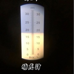 限定10セット　はねだし　シャインマスカット　1kg 1500円　の画像