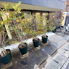 美容師・アシスタント・パート募集｜西新駅近くの画像