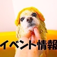 9月3日　イオンタウン上里　フリマ⭐︎