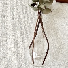 吊り下げ滴型フラワーポット花瓶クリアの画像