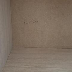 カラーボックス 本棚 2個の画像