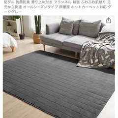 購入者決定　未使用　146 Vamcheer ラグ カーペット ...
