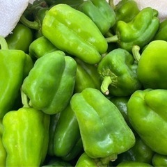 茨城県産　野菜詰め合わせ　大盛り　無農薬の画像