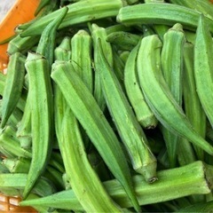 茨城県産　野菜詰め合わせ　大盛り　無農薬の画像