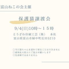 ９月４日(土)保護猫譲渡会
