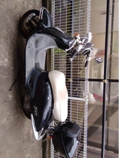 HONDA JOKER50交渉中