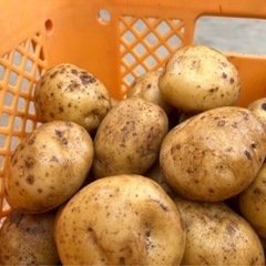 茨城県産　野菜詰め合わせ　大盛り　無農薬の画像