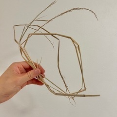 《わらしべ長者やっています！！》