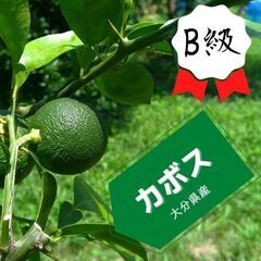 タカミヤカボス×小説『その貸家には魔女が居る』コラボセットの画像