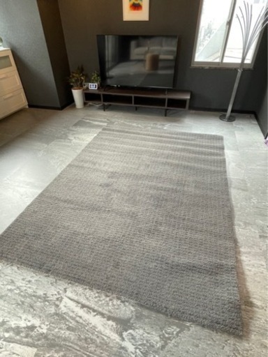 【新品未使用】IKEA  ラングステド ライトグレー, 170x240 cm