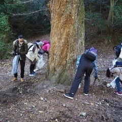 宮島弥山登山＆ごみ拾い１０／１ - スポーツ