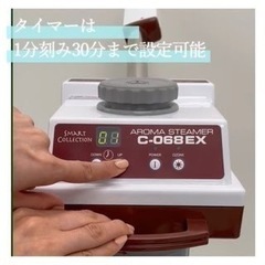 スチーマー　業務用6000の画像