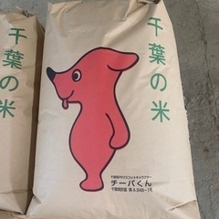 令和5年度新米｜コシヒカリ｜玄米30kg