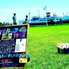9月１１日モルックやりませんか？😊