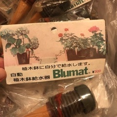 自動植木鉢給水器　blumatの画像