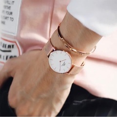ダニエルウェリントン ブレスレット CLASSIC BRACELETの画像