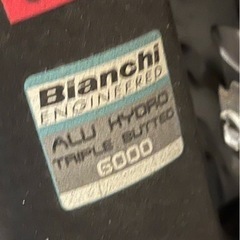 Bianchi Alu Hydro Triple Butted 6000 の画像