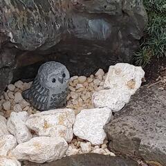 造園　正社員　アルバイト募集　週払い可能の画像