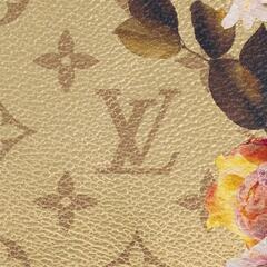 残り１点‼️非常に入手困難‼️【日本完売コレクション品AW2022-23新作 ルイヴィトン 2WAYバッグ】正規品の画像