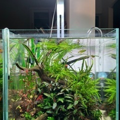 [最終値下げ]植物育成RGB LEDライト SOLARIS8000 CT(ソラリス8000コントローラ)ブラケット付属の画像
