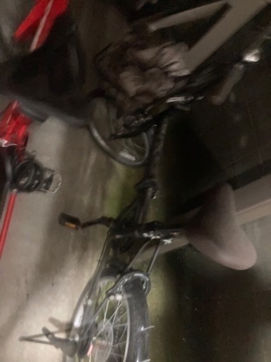 折り畳み自転車and空気入れ