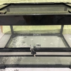 爬虫類用ケージ