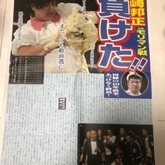ガキの使い ガースー黒光り新聞社封筒型クリアファイル ガースポ特別版の画像