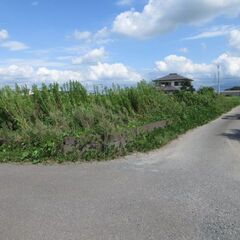空地のかずら除去、整地、ユンボ、格安
