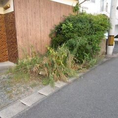借家の植木徹去、倉庫徹去、ブロック補修草刈り草刈り