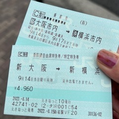 新幹線チケット(新横浜⇄新大阪間の片道)