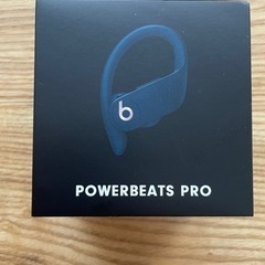 Powerbeats pro True Wireless イヤーパッド　ネイビーの画像