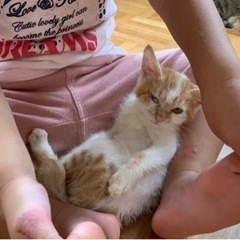 【おっとりタイプのおてんば娘】アシュリちゃん