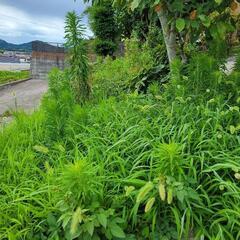 お困り事解決致します。 − 福岡県