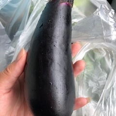 茨城県産　野菜詰め合わせ　大盛り　無農薬の画像