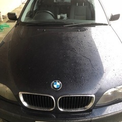 2002年式　BMW318i  の画像