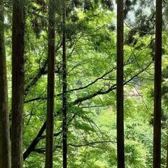 youtube追加丨山小屋の維持・修繕・宿泊 - 交換したい