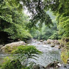 youtube追加丨山小屋の維持・修繕・宿泊 − 東京都