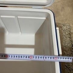 Coleman クーラーボックスの画像
