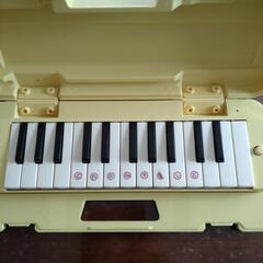鍵盤ハーモニカの画像