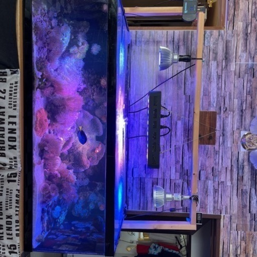 アクリル水槽　サンゴ　海水魚　オーバーフロー