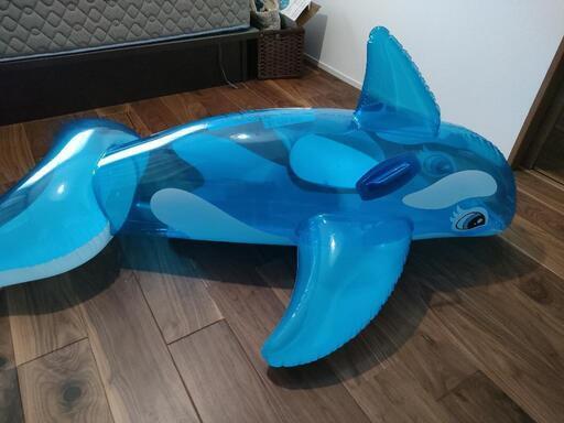 シャチ　プール用品