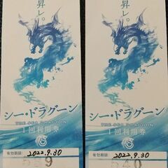 シー・ドラグーン☆ペアチケット☆使用期限9月30日まで‼️の画像