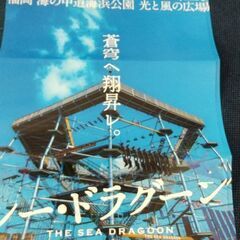シー・ドラグーン☆ペアチケット☆使用期限9月30日まで‼️の画像