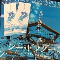 シー・ドラグーン☆ペアチケット☆使用期限9月30日まで‼️