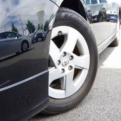 この反射、見えます？めっちゃ綺麗なんです！