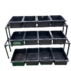 改良めだか　有精卵　めだかラック　の画像